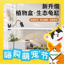 限移动端、京东百亿补贴：KUOTING 阔庭 乌龟别墅 白色款