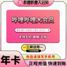 哔哩哔哩大会员 一年bilibili会员 超级大会员12个月