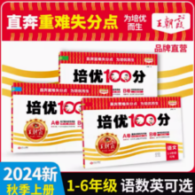 《2024版王朝霞试卷培优100分》（年级/版本/科目任选）