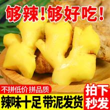 新鲜云南小黄姜辛辣十足高山沙姜月子姜老黄姜