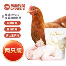 萨索 高山童子鸡650g*2 两只装 新鲜冷冻林地散养土鸡整鸡鸡肉