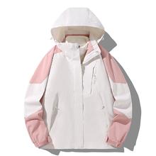 情侣冲锋衣男女2024新款户外防水登山服