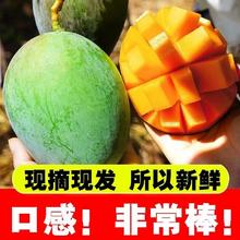 官补9.89元 5斤四川攀枝花凯特芒果