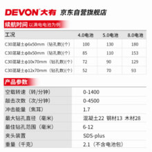大有（Devon）20V工业级无刷充电锂电电锤5401打混凝土电镐开凿4.0Ah单电