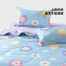 BLISS 百丽丝 A类可水洗夏凉被 200*230cm（多款任选）