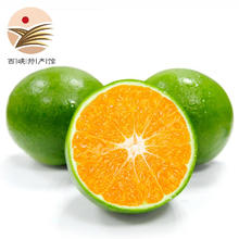 静益乐源 宜昌青皮蜜桔 净重4.5斤中果果径55-65mm