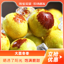 淘宝买菜 陕西大荔冬枣 单果约11g+ 5斤装