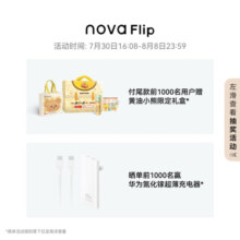 华为 nova Flip小折叠 256GB 向新绿 轻薄可靠 鸿蒙AI趣玩 后置5000万悬停自拍智能手机