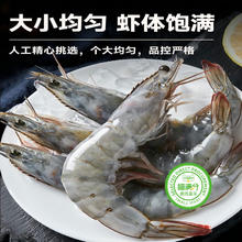 喵满分 湛江大虾海鲜大虾1.5kg30/40*2盒鲜活速冻水产白虾
