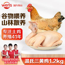 WENS 温氏 供港三黄鸡 1.2kg
