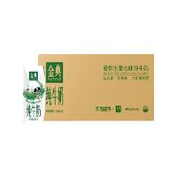SATINE 金典 3.6g乳蛋白 纯牛奶 250ml*24盒