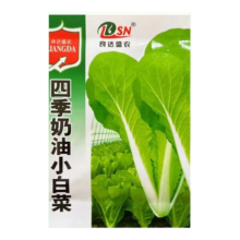 【四季奶油】小白菜种子速生高产快菜种籽四季小青菜小白菜种籽 奶油小白菜种子 1包约1000粒