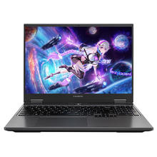 COLORFUL 七彩虹 隐星G16 16英寸游戏本（i7-13650HX、16GB、512GB、RTX 4060）