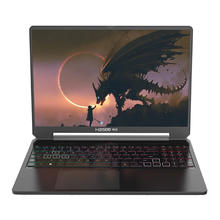 6日0点、PLUS会员：Hasee 神舟 战神 T8 Plus 16英寸游戏本 （I7-13700HX、16GB、、1TB、RTX4060