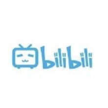 bilibili 哔哩哔哩 大会员年卡 12个月