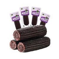 珍谷诱惑 东北黑糯玉米 200g*10根