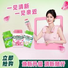 DOUBLEMINT 绿箭 口香糖40粒瓶装多规格绿茶原味清新口气随身携带休闲糖果零食