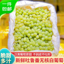 Mr.Seafood 京鲜生 新疆无核白葡萄4.5斤 生鲜水果马奶提子 源头直发
