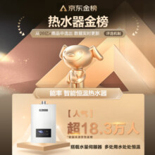 能率（NORITZ）16升燃气热水器天然气 恒温水伺服 综合降噪 速热大水量 停水控温 以旧换新GQ-16E4AFEX(JSQ31-E4)