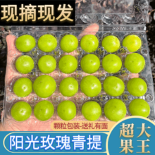 京东百亿补贴:晟容果蔬四川阳光玫瑰葡萄 无籽 4盒  2.2斤 特级果【单果12g+】 普通装