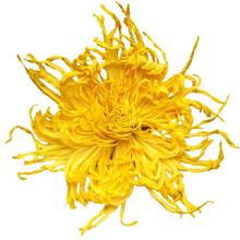 一朵一杯，徽春堂 金丝皇菊 20g 约50朵