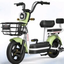 京东百亿补贴：凤凰电动车 新国标电动自行车