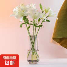 plus会员、京东百亿补贴：京东鲜花 混色百合10个花苞 3-5支 送
