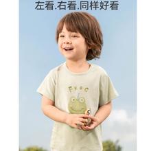 aqpa 夏季纯棉短袖