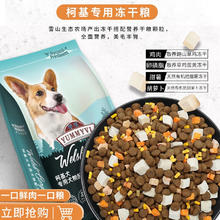 威尔逊馋嘴 双拼狗粮冻干 柯基狗粮专用天然粮冻干拌饭粮 冻干款 成犬10斤