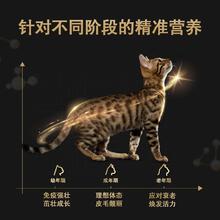 PRO PLAN 冠能 成猫罐头营养增肥发腮主食罐头美国原装进口猫咪零食6罐临期