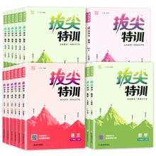 1-6年级科目任选 2024新拔尖特训
