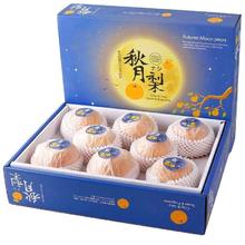 旭霁 山东莱阳秋月梨礼盒 净重4.5斤精选装 特大果 单果5-7两