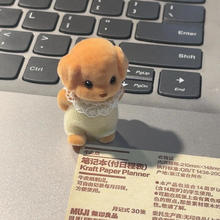 二次熊 熊贵宾犬玩偶 四肢可动【小狗+衣服+彩盒】