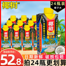 椰树 椰子水 330ml*24盒 利乐钻整箱装 植物蛋白饮料