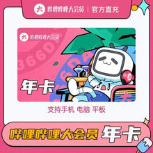 bilibili 哔哩哔哩 大会员12个月年卡
