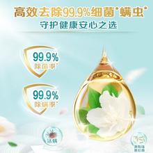 Liby 立白 家用洗衣液500g袋装