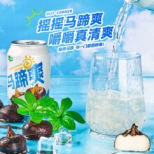 康之味 马蹄爽果肉果粒饮料 310ml*12瓶