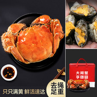 喵满分 鲜活大闸蟹8只装2.3-2.6两/只活蟹礼盒