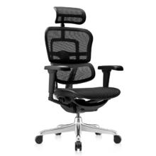 14日20点、PLUS会员、京东百亿补贴：Ergonor 保友金豪b2/雄鹰 人体工学椅