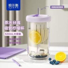Haers 哈尔斯 茶水分离吸管玻璃杯530mL  多色