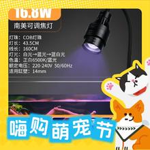 宠小帅 鱼缸龟缸射灯 可调焦 16.8W