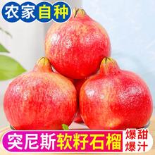 百亿补贴：御品一园 突尼斯软籽石榴彩箱新鲜水果8斤当季红石榴甜薄皮单果400g以上