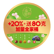 LIUM 溜溜梅 加量全家桶青梅雪梅话梅西梅零食