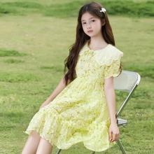 小虎·帕蒂 女童甜美刺绣连衣裙24夏新款儿童娃娃领可爱裙子