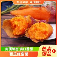 西瓜红蜜薯中大果板栗红薯农家自种红心地瓜烤番薯