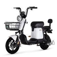LUYUAN 绿源 翻糖 电动自行车 TDT2026Z 48V24Ah锂电池