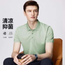杉杉 纯色5A抗菌男式短袖POLO衫 F1114P1D208829