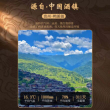 鸭溪系列500ml*6瓶整箱白酒整箱送礼自饮婚宴酒水 53度 500mL 6瓶 鸭溪金质整箱