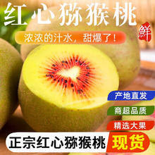 集年鲜 蒲江红心猕猴桃 当季新鲜水果孕妇奇异果节日中秋送礼 15个中果（单果70-90g)