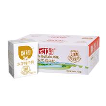 必囤 百菲酪水牛奶200ml*20盒